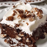 A rich and decadent slice of Mississippi Mud Cake topped with creamy whipped frosting, crunchy pecans, and drizzled with chocolate sauce.